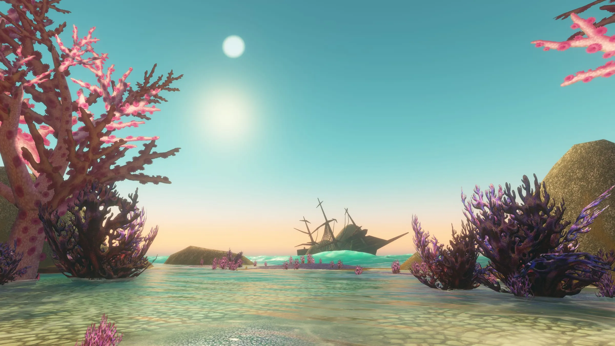 Pink and purple coral around a sunken ship in bright shallow water
